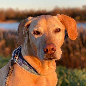 Meet your Posher, Scott